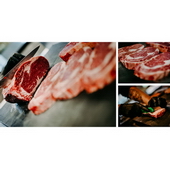 Feel-Photo HOCHWERTIGE PORTRAIT-, BUSINESS- & EVENTFOTOGRAFIE AUS EINER HAND! 003