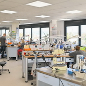 Feel-Photo HOCHWERTIGE PORTRAIT-, BUSINESS- & EVENTFOTOGRAFIE AUS EINER HAND! 022